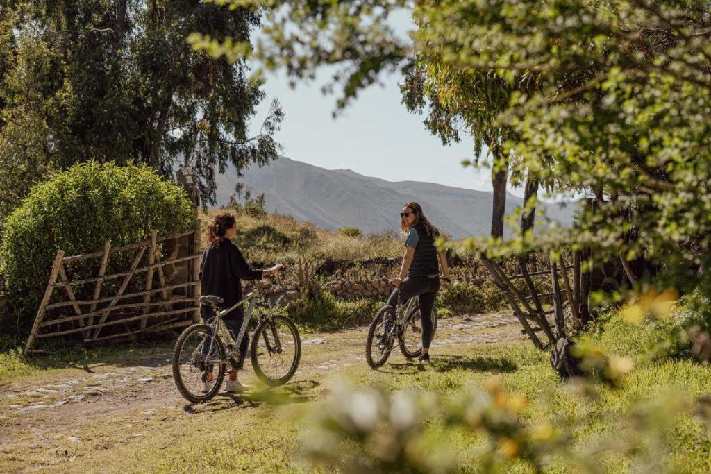 Colca Trek Lodge Best Experience Pinchollo 외부 사진